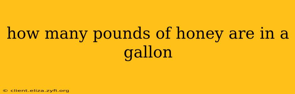 how many pounds of honey are in a gallon
