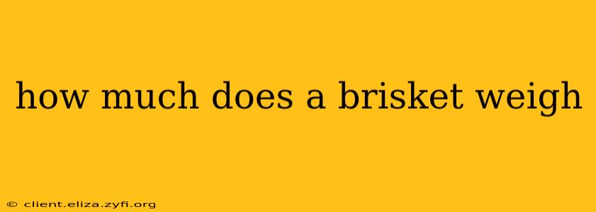 how much does a brisket weigh
