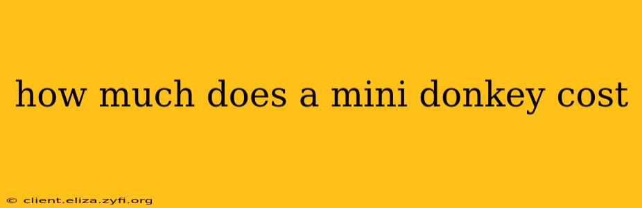 how much does a mini donkey cost