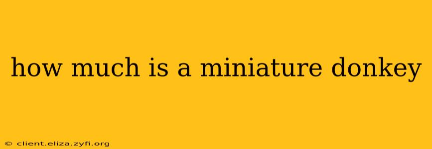 how much is a miniature donkey