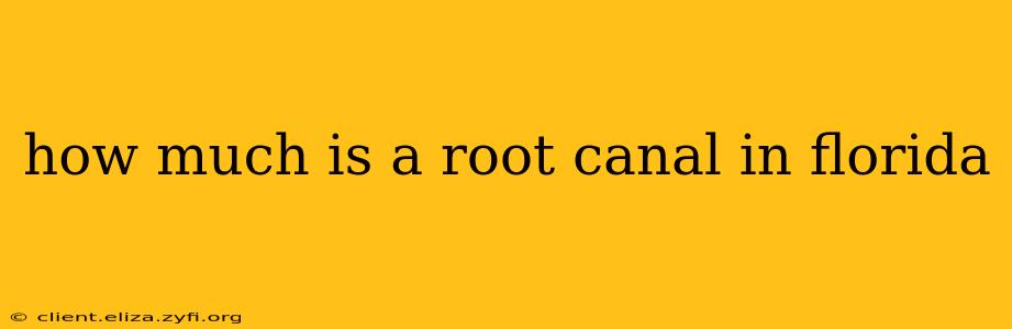 how much is a root canal in florida