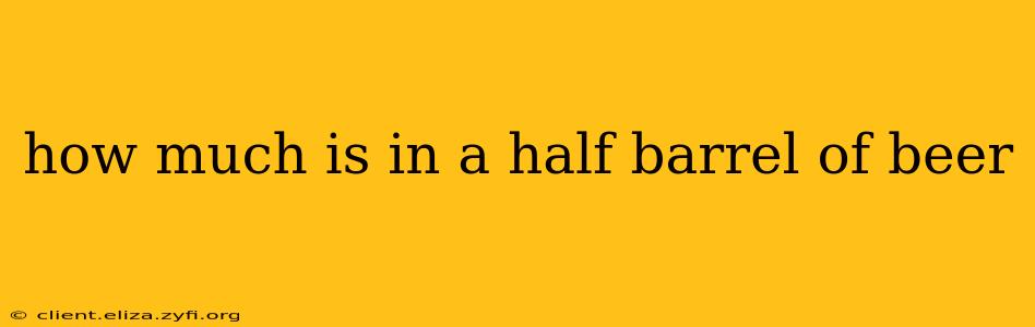 how much is in a half barrel of beer