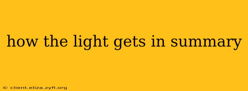 how the light gets in summary