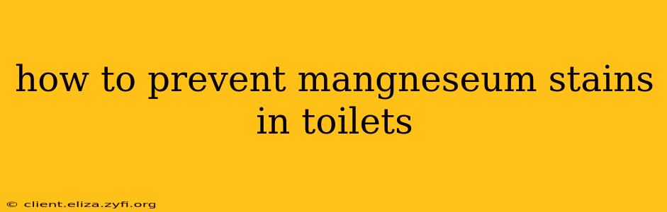 how to prevent mangneseum stains in toilets