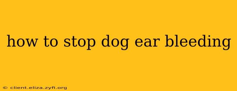 how to stop dog ear bleeding