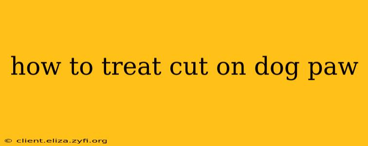 how to treat cut on dog paw