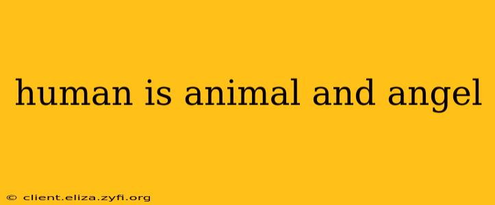 human is animal and angel