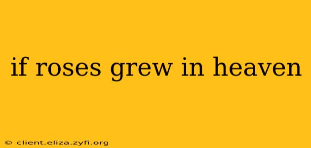 if roses grew in heaven