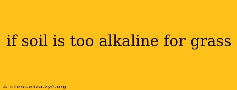 if soil is too alkaline for grass