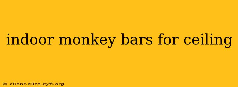 indoor monkey bars for ceiling