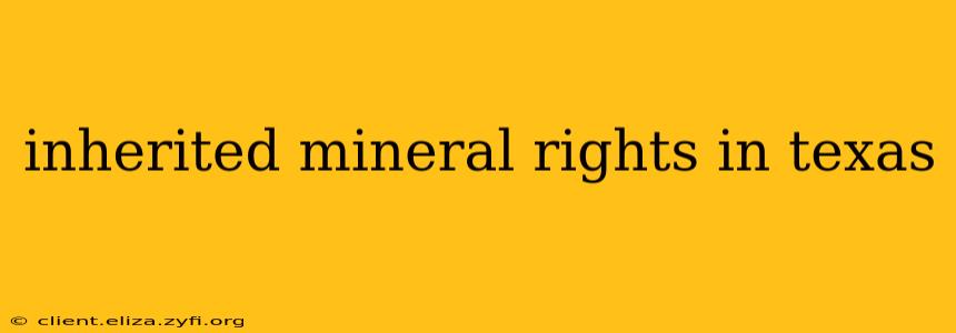 inherited mineral rights in texas