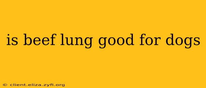 is beef lung good for dogs