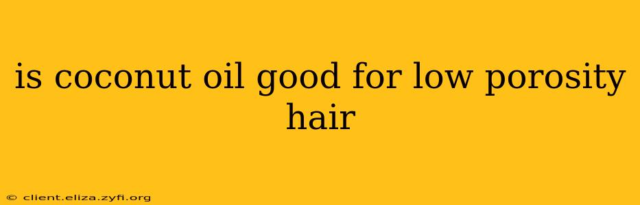 is coconut oil good for low porosity hair