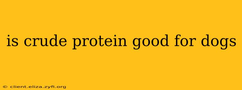 is crude protein good for dogs