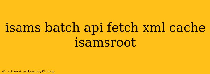 isams batch api fetch xml cache isamsroot