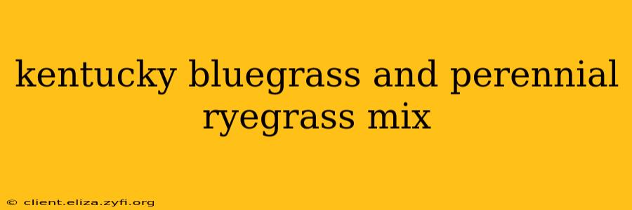 kentucky bluegrass and perennial ryegrass mix