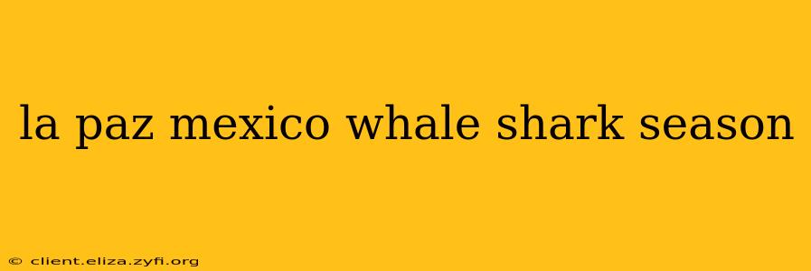 la paz mexico whale shark season