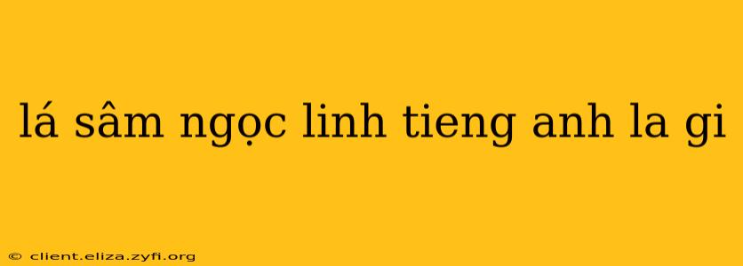 lá sâm ngọc linh tieng anh la gi