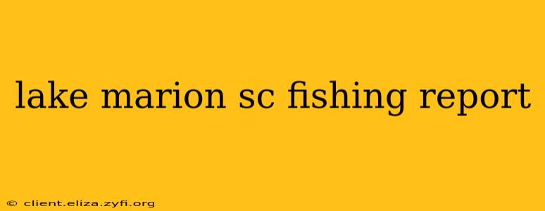 lake marion sc fishing report