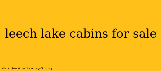 leech lake cabins for sale