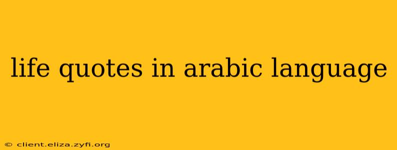 life quotes in arabic language