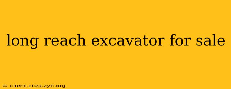 long reach excavator for sale