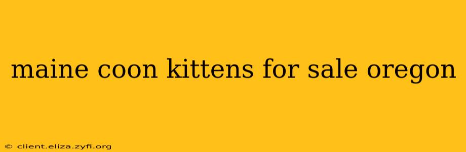 maine coon kittens for sale oregon