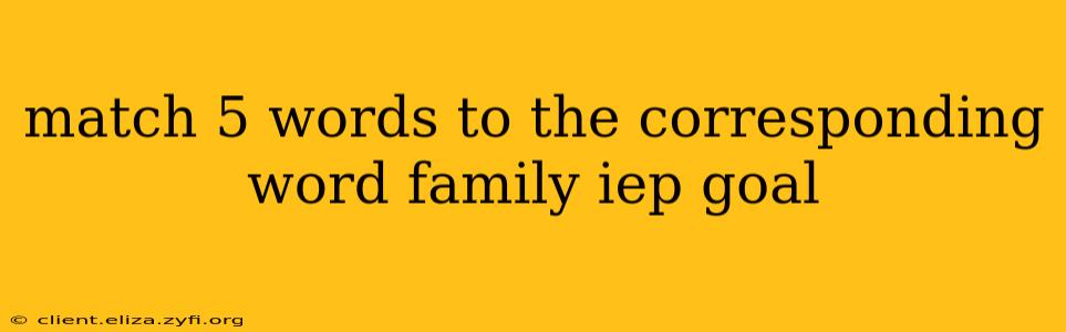 match 5 words to the corresponding word family iep goal