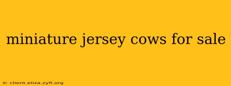 miniature jersey cows for sale