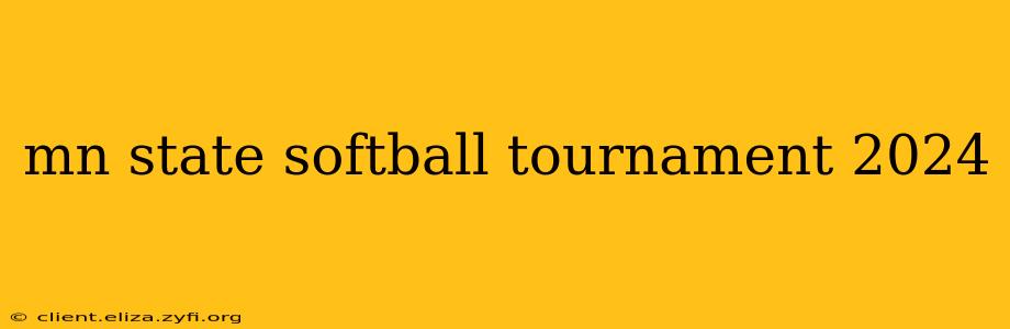 mn state softball tournament 2024