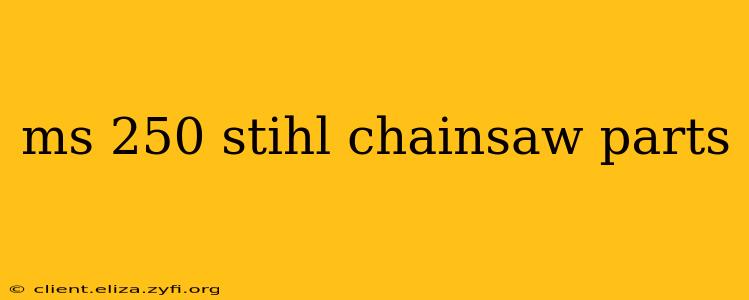 ms 250 stihl chainsaw parts