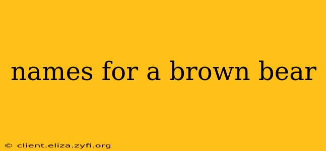 names for a brown bear