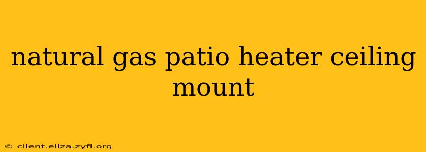 natural gas patio heater ceiling mount