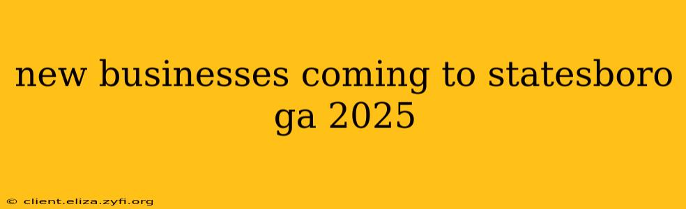 new businesses coming to statesboro ga 2025