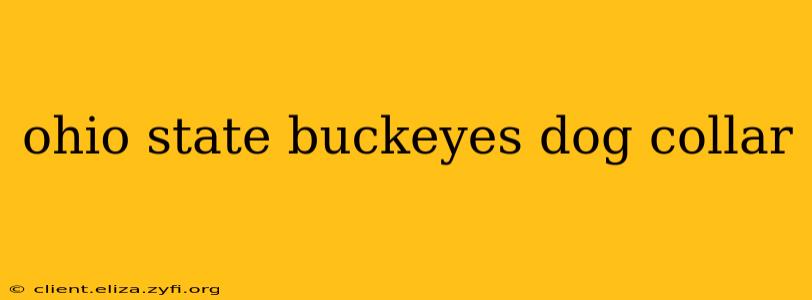 ohio state buckeyes dog collar