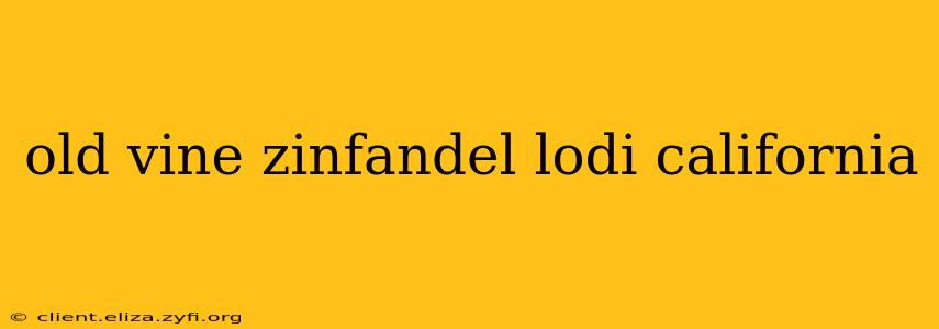 old vine zinfandel lodi california