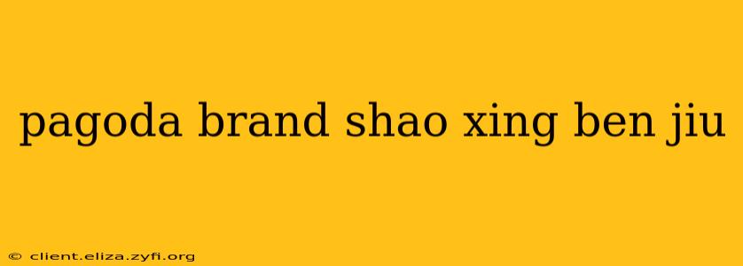 pagoda brand shao xing ben jiu