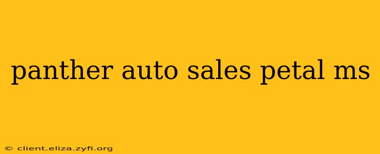 panther auto sales petal ms