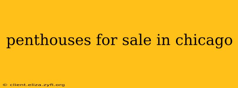 penthouses for sale in chicago