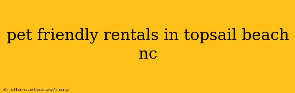 pet friendly rentals in topsail beach nc