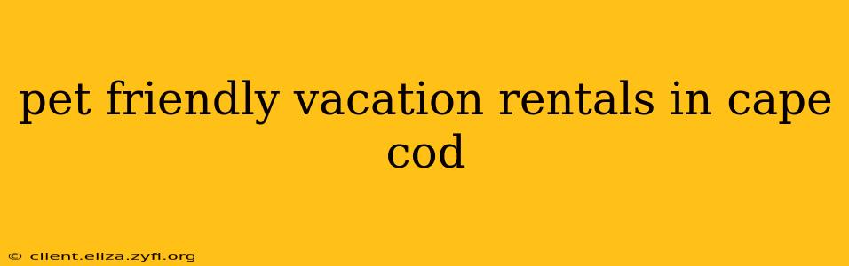 pet friendly vacation rentals in cape cod