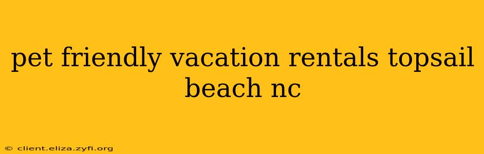 pet friendly vacation rentals topsail beach nc