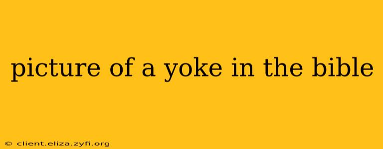 picture of a yoke in the bible