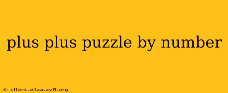 plus plus puzzle by number
