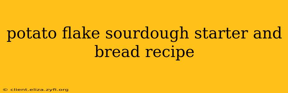 potato flake sourdough starter and bread recipe