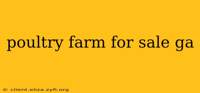 poultry farm for sale ga