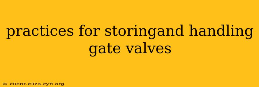 practices for storingand handling gate valves