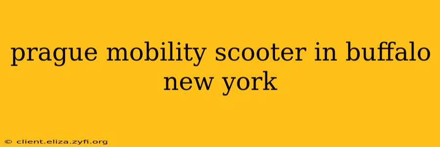 prague mobility scooter in buffalo new york