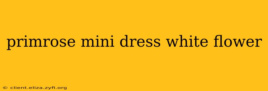 primrose mini dress white flower