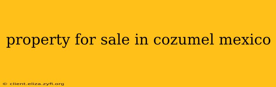 property for sale in cozumel mexico